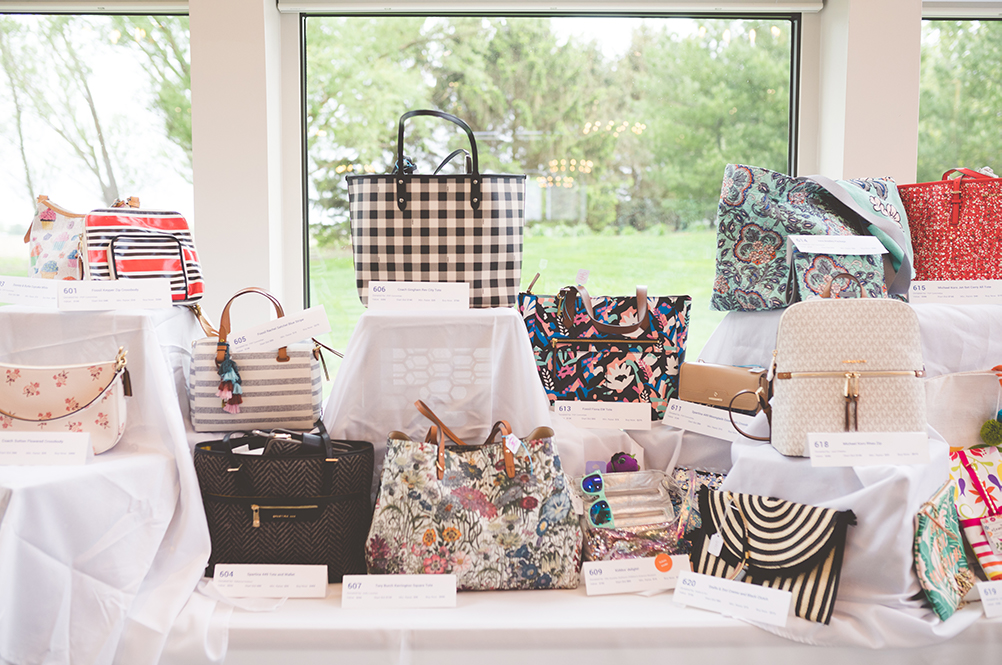 Power of the Purse event makes history, raises 100,000 United Way of
